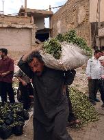 (15)Photos from Iraq